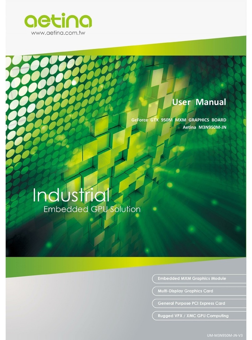 Aetina M3N950M-JN user manual