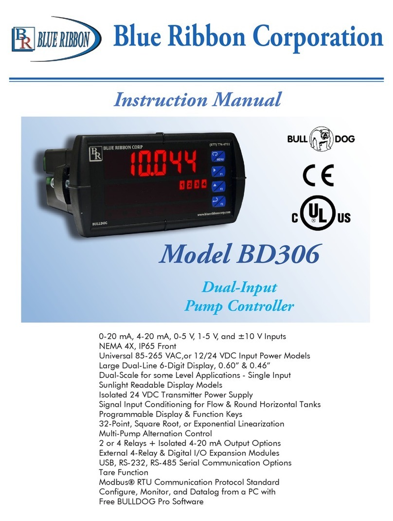 Blue Ribbon BD306 User manual