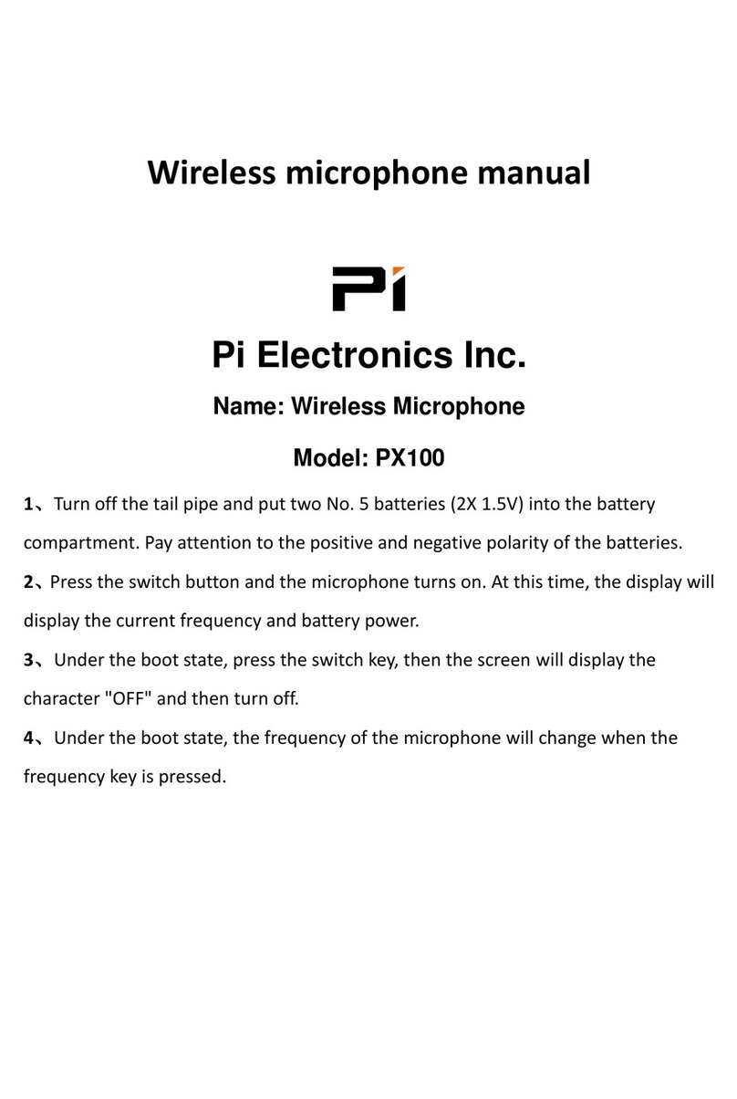 PI PX100 manual