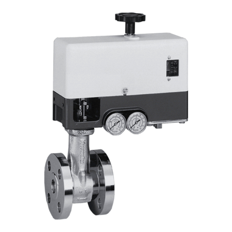 Baker Hughes Masoneilan VariPak 28000 Series User manual