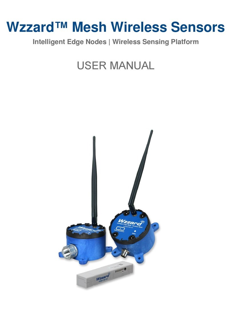 B+B SmartWorx Wzzard WSD2C31010 user manual B+B SmartWorx Wzzard WSD2C31010 user manual