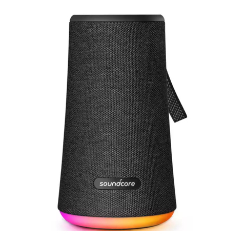 Soundcore Flare+ user manual