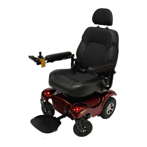 Merits P310 series User manual