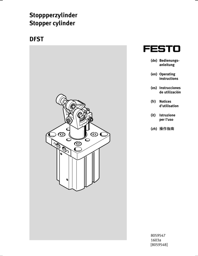 Festo DFST Series User manual
