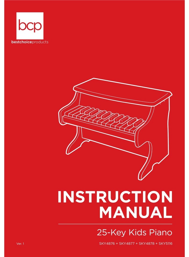 BCP SKY4878 instruction manual