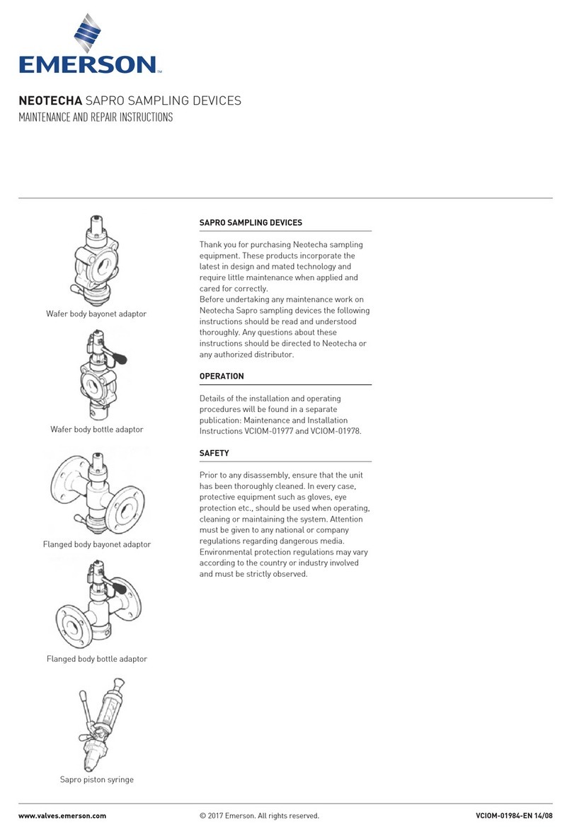 Emerson Neotecha Sapro Setup guide