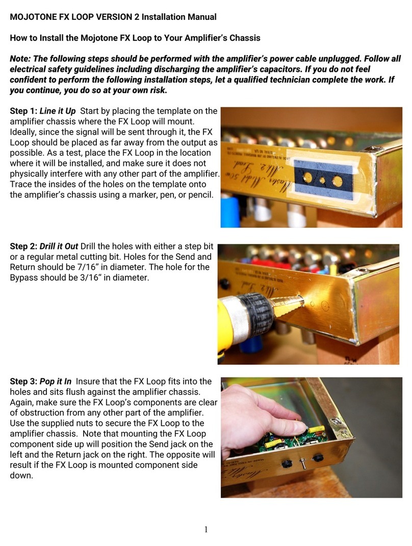 Mojotone FX LOOP v.2 User manual