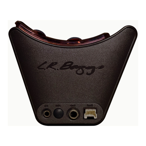 L.R. Baggs Session VTC user guide