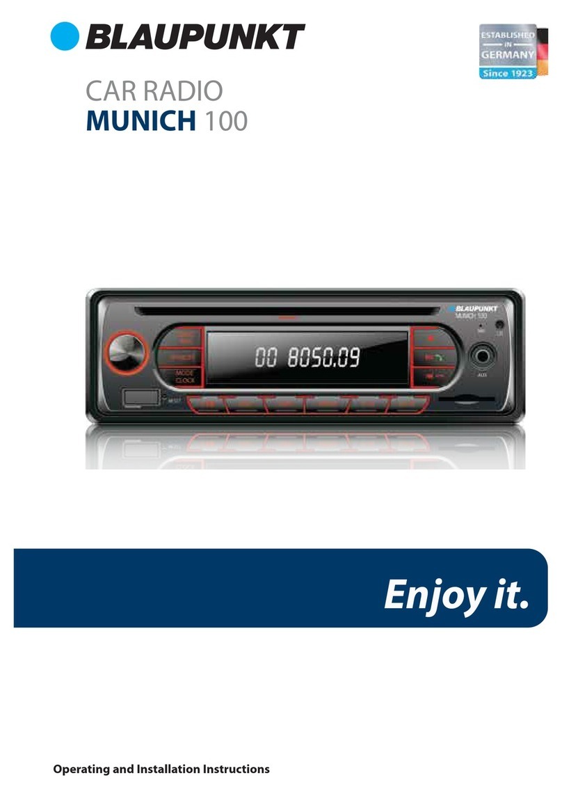 Blaupunkt Munich 100 User manual
