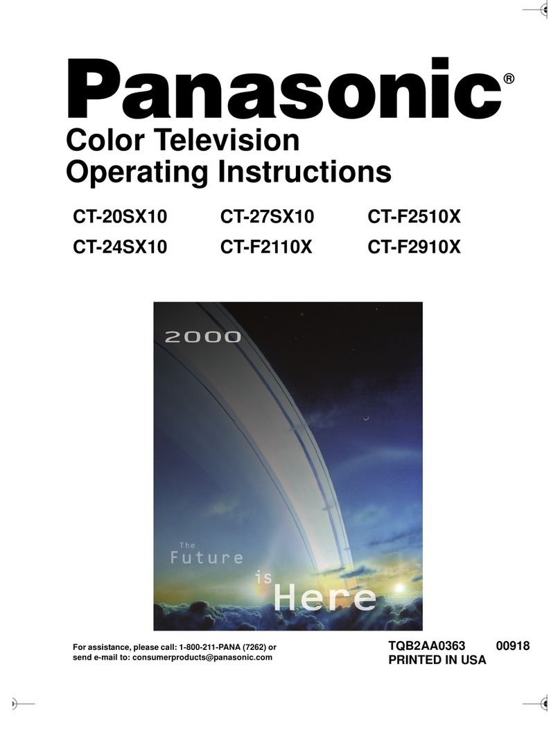 Panasonic CT-20SX10 operating instructions