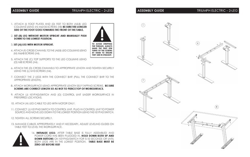 ESI TRIUMPH 2T-C28-24 User manual