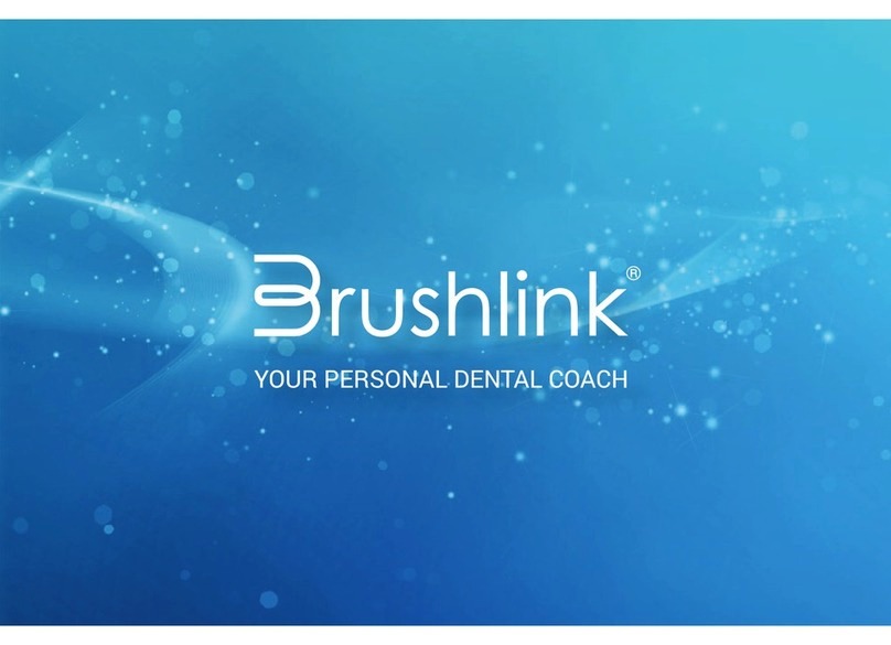 Brushlink Brushlink manual