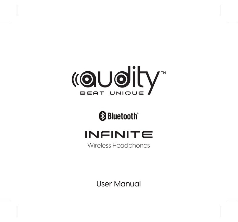 Audity Infinite user manual
