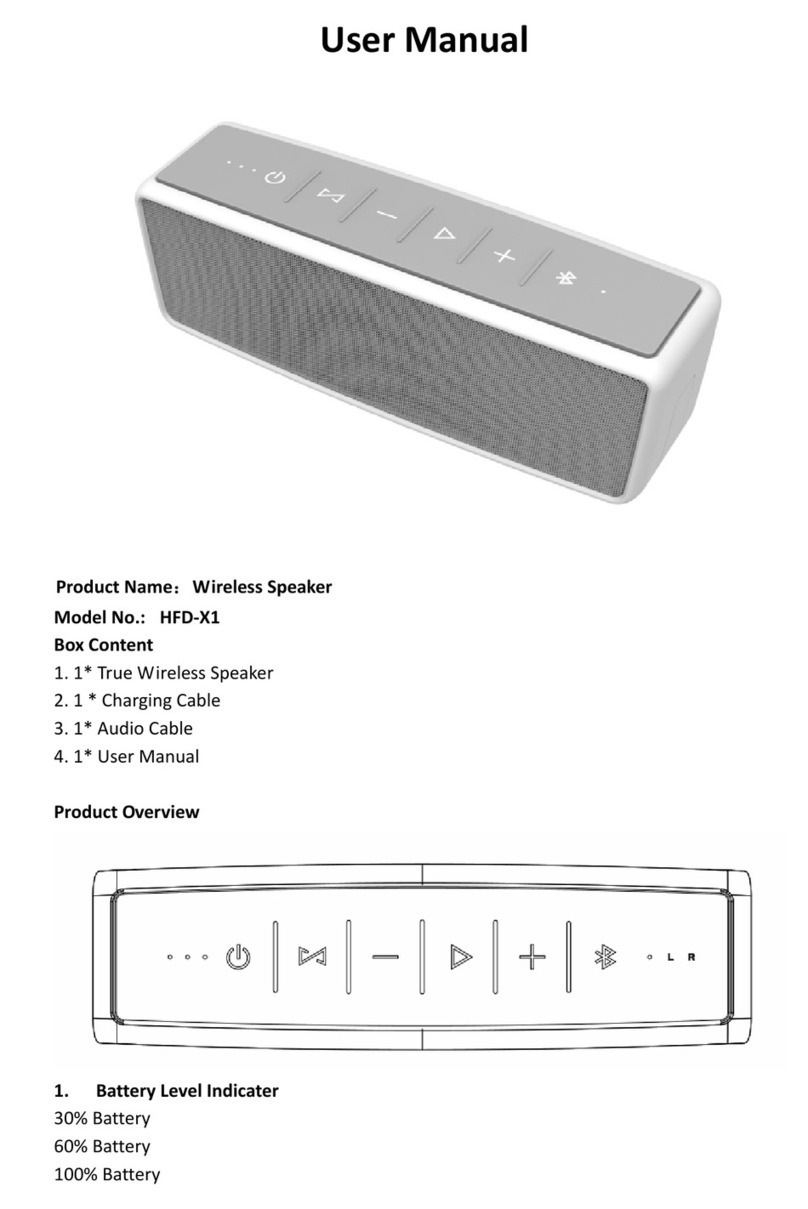 Hi-FiD HFD-X1 user manual