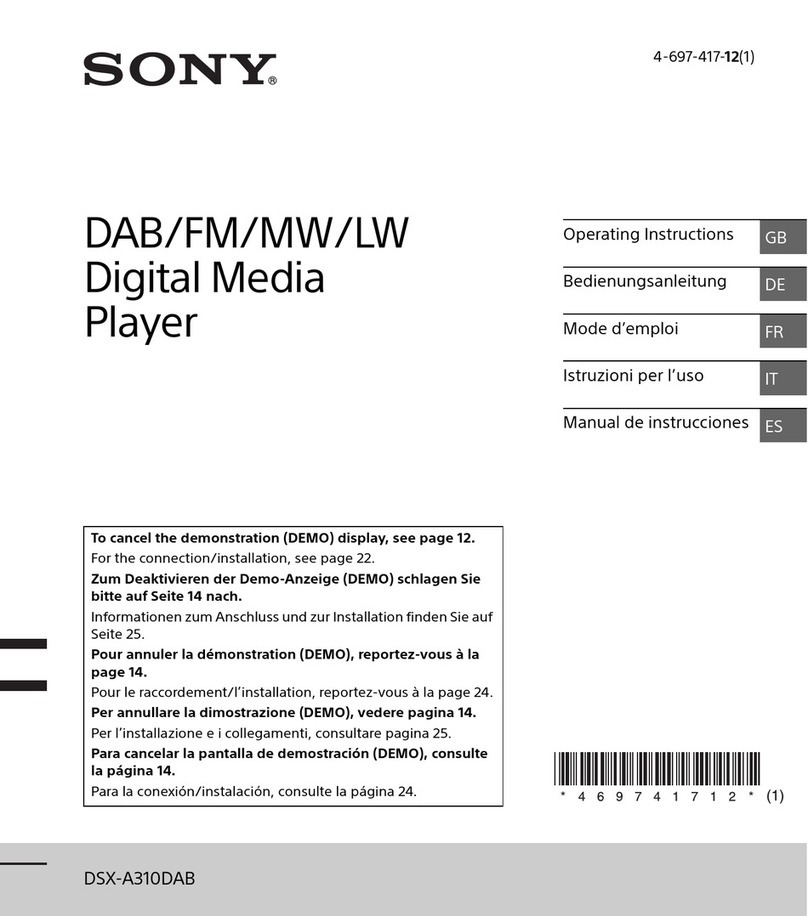 Sony DSX-A310DAB User manual