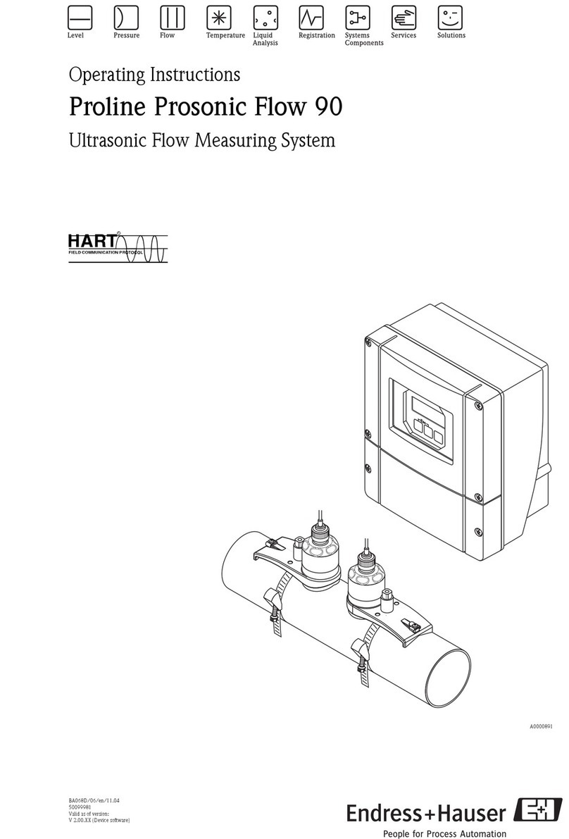 Endress+Hauser Prosonic Flow 90 User manual