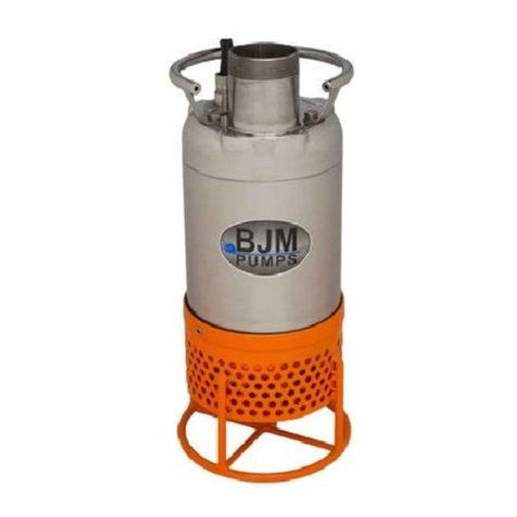 BJM Pumps LWA Series Instruction manual