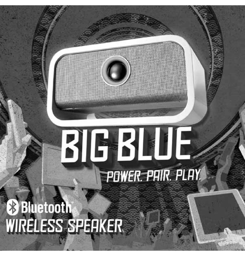 Big Blue Audio LLC 733673 User manual