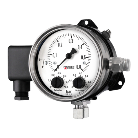 FISCHER DS21xxxH series User manual