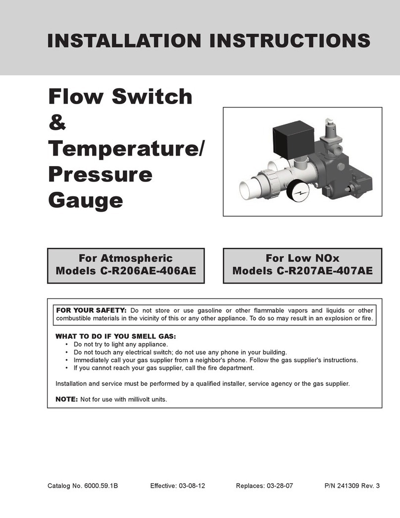 Raypak C-R206AE-406AE installation instructions