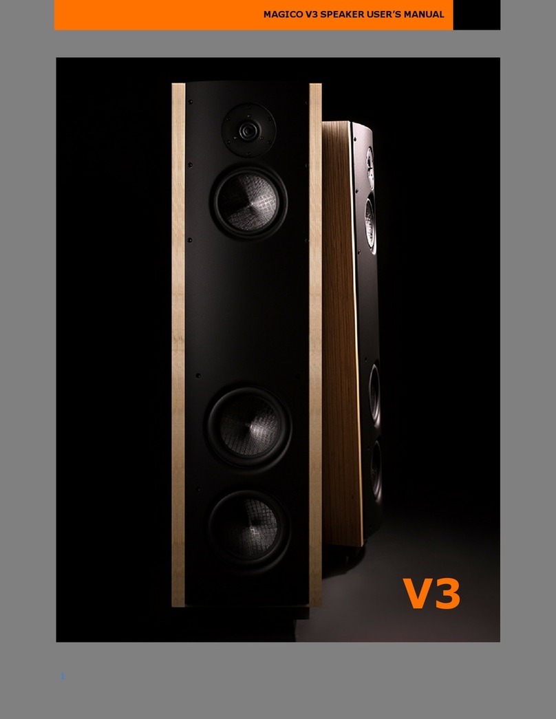 MAGICO V3 User manual