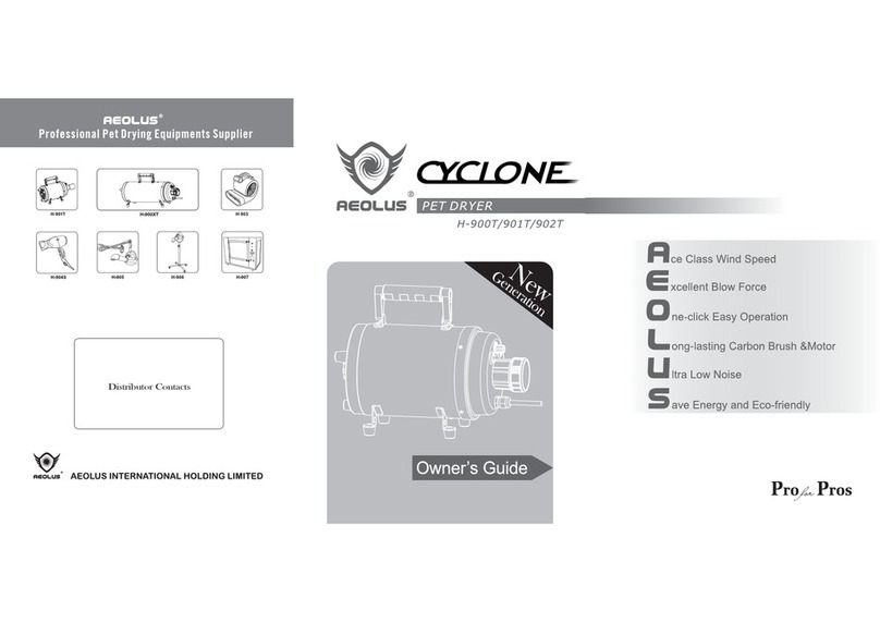 aeolus Cyclone H-900T User manual