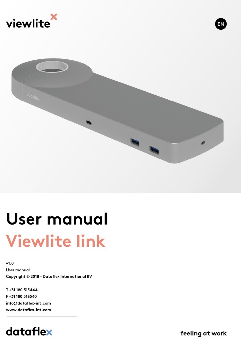 dataflex Viewlite link user manual