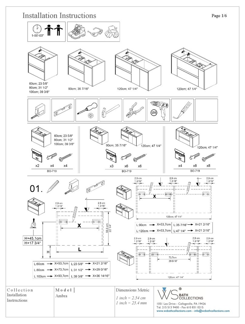 WS Ambra User manual