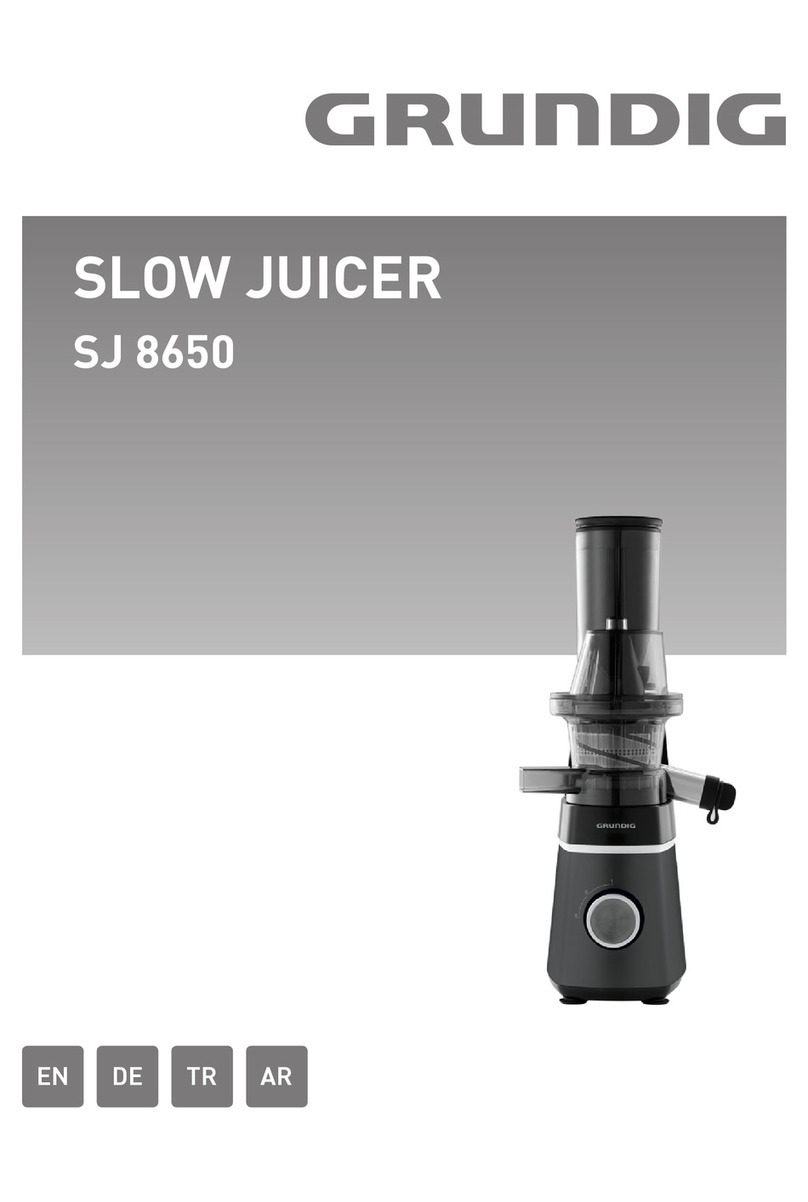 Grundig SJ 8650 User manual