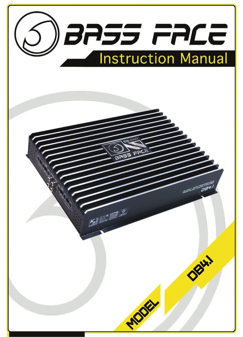 BASSFACE DB4.1 instruction manual