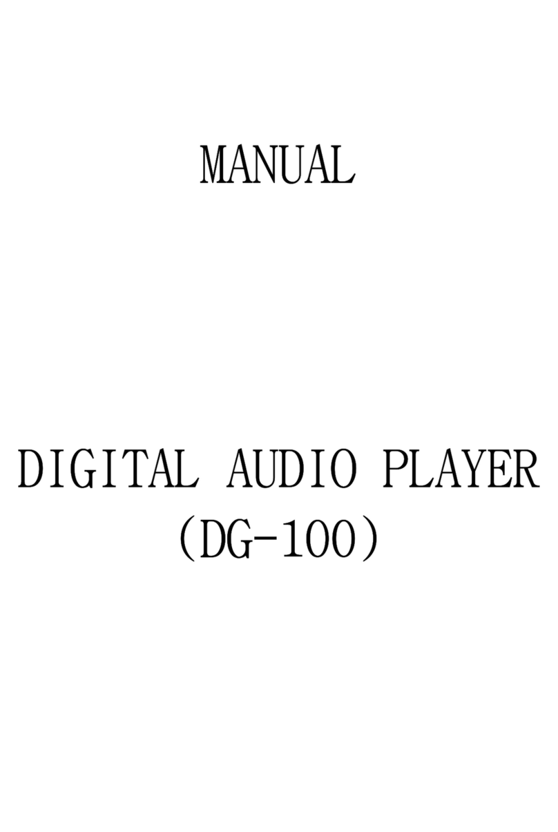 DG Lab DG-100 manual