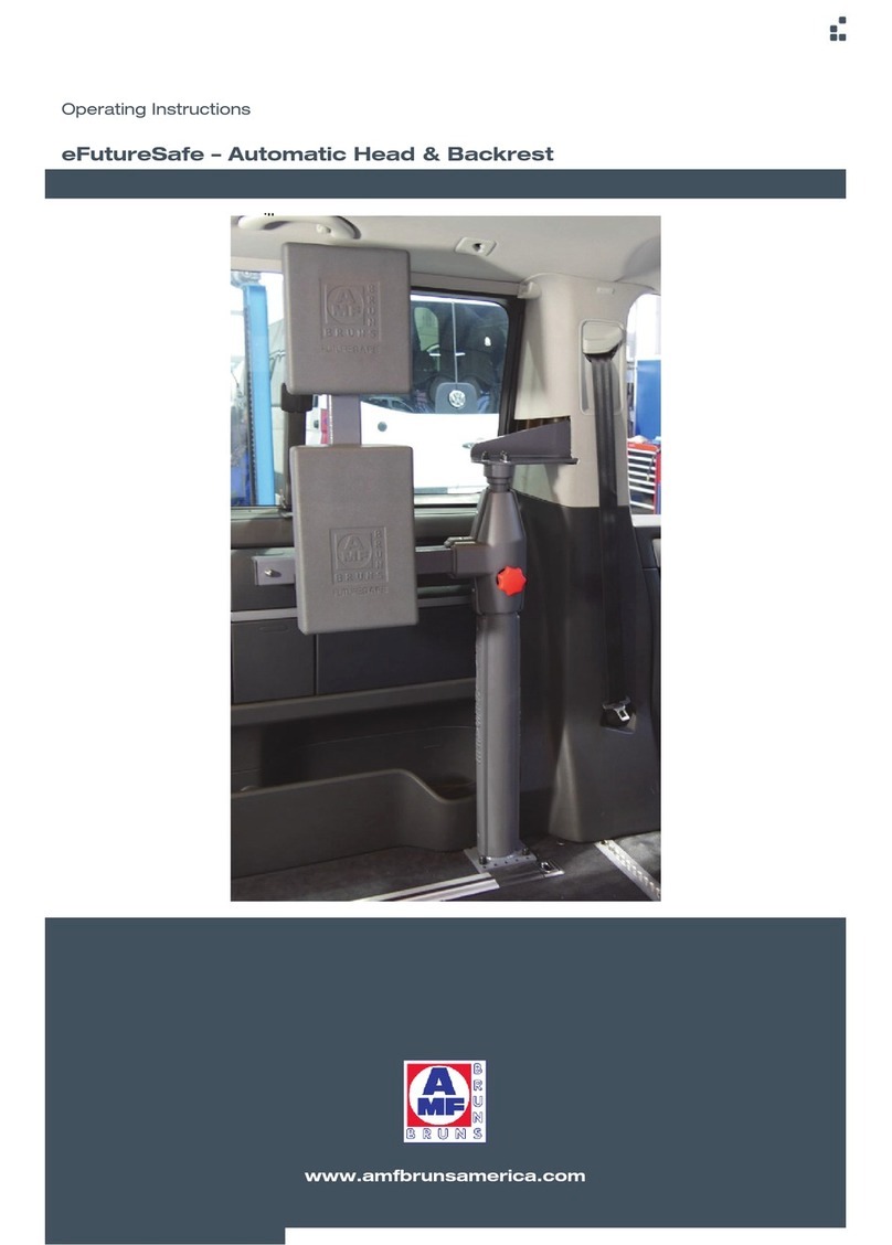 AMF-BRUNS eFutureSafe User manual