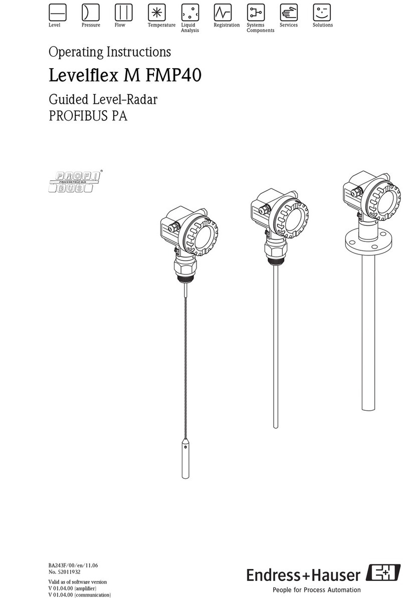 Endress+Hauser Levelflex M FMP40 User manual