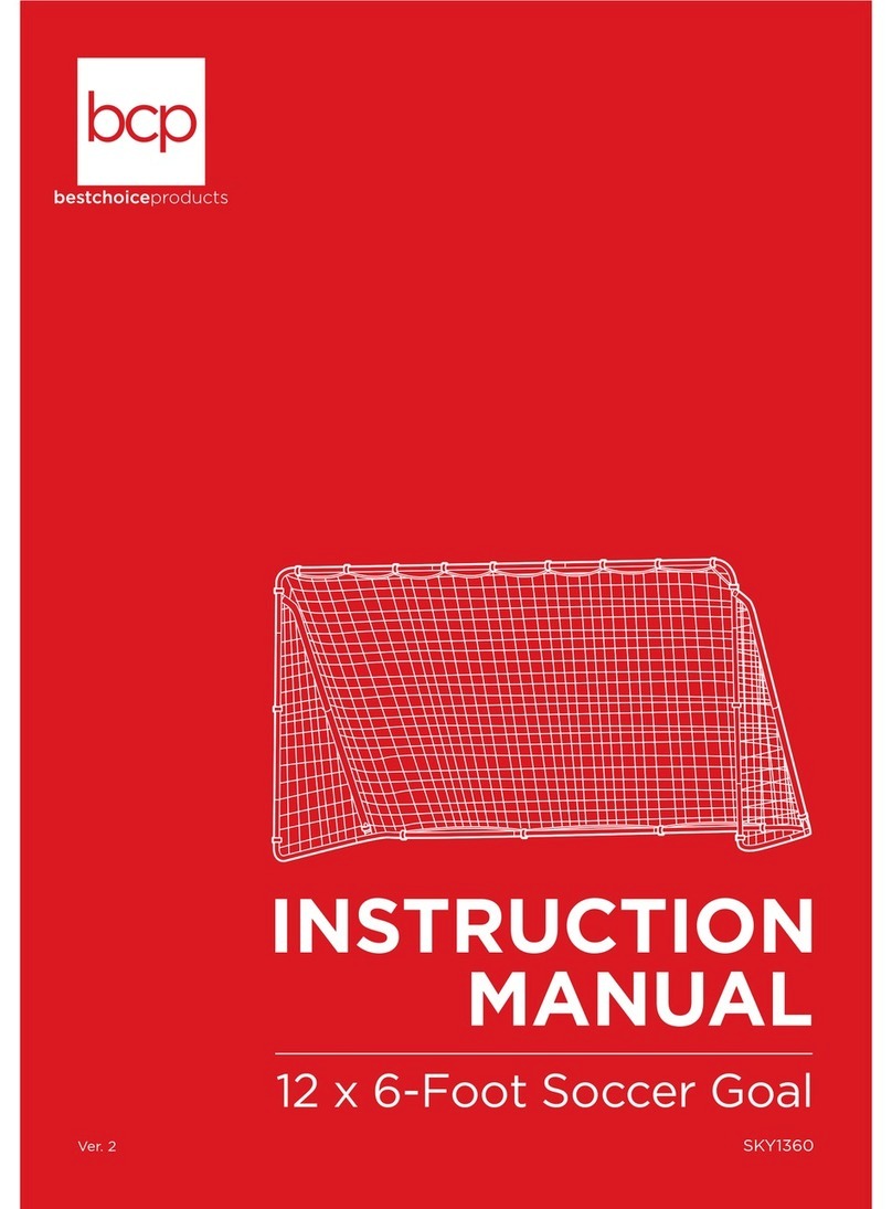 BCP SKY1360 User manual