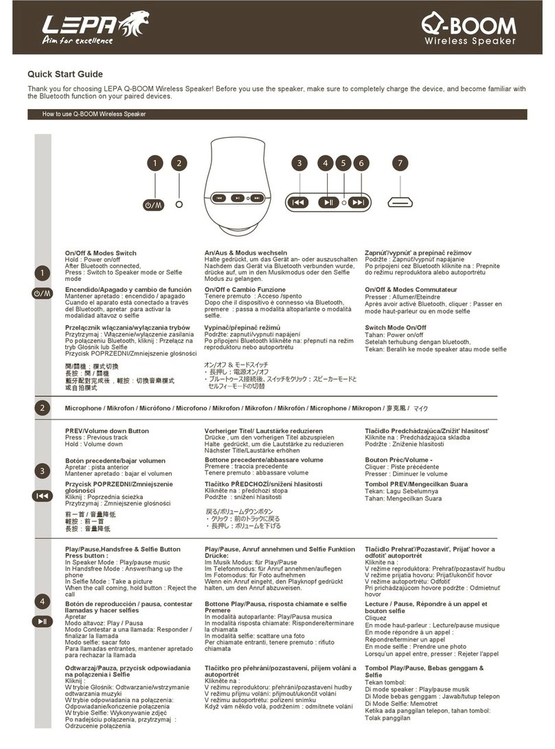 Lepa Q-BOOM quick start guide