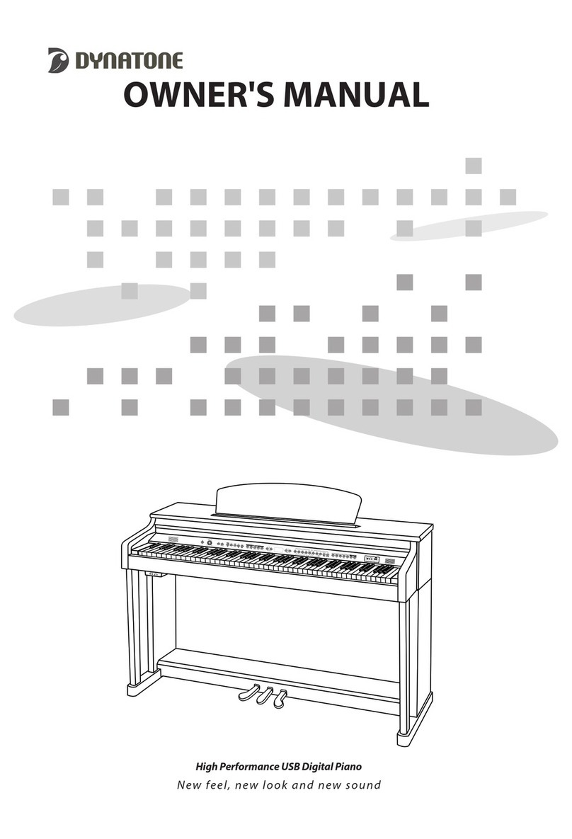 Dynatone DPR-3100 owner's manual