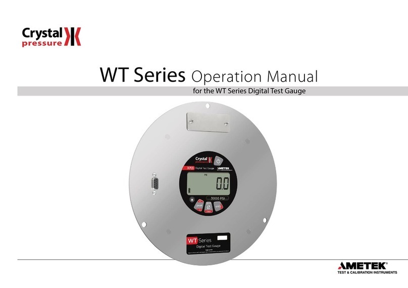 Ametek WT Series User manual
