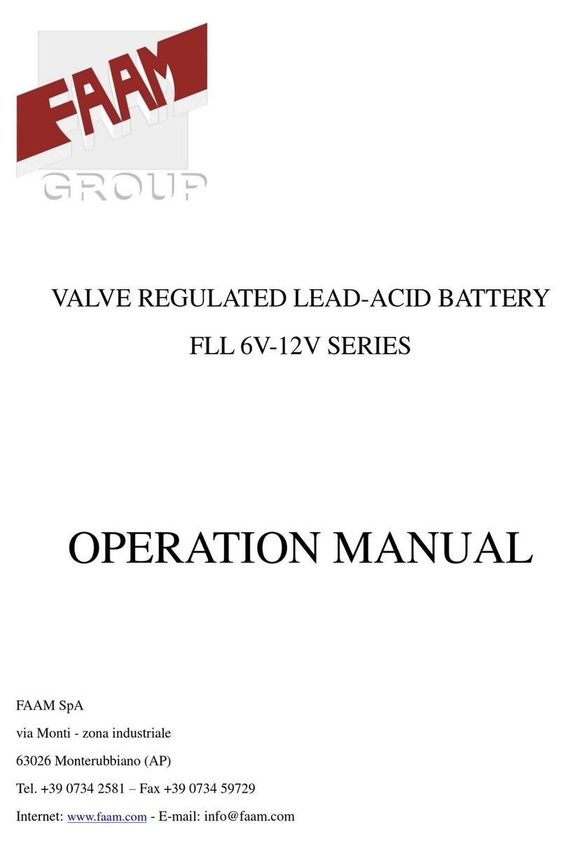 FAAM FLL 6V Series Operation manual