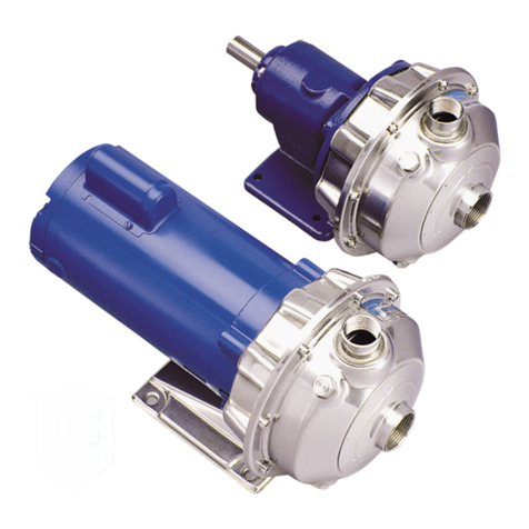 Xylem Goulds NPE Manual