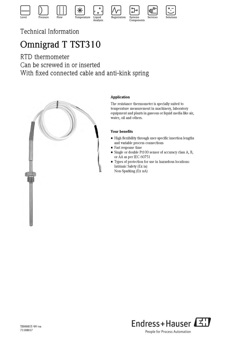 Endress+Hauser Omnigrad T TST310 technical information