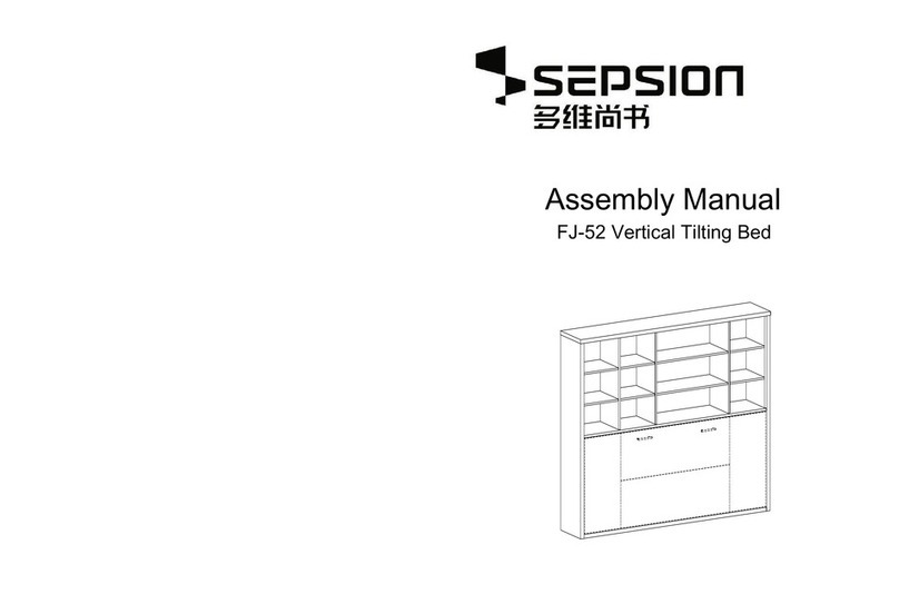Sepsion FJ-52 Assembly manual