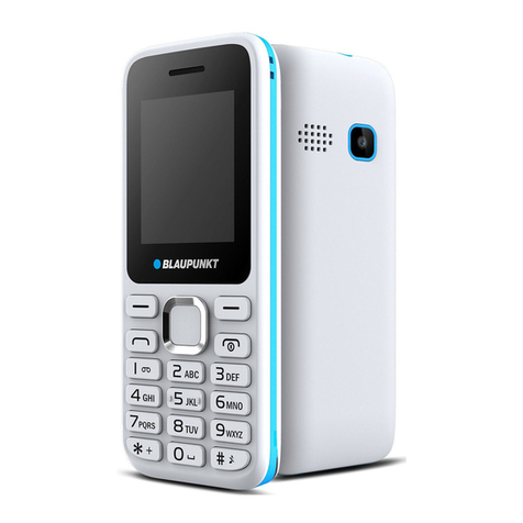 Blaupunkt FS 03 user guide