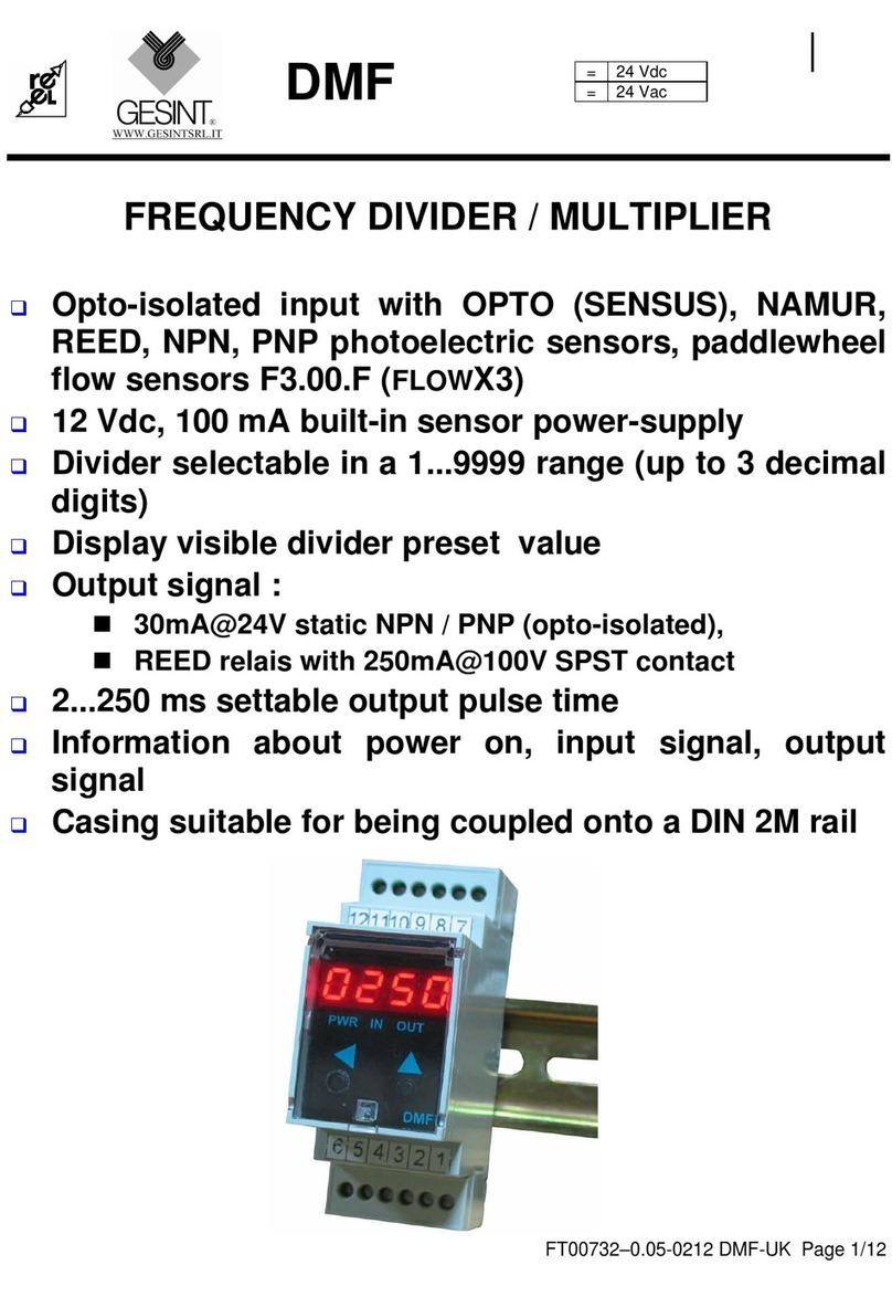 Gesint DMF user manual
