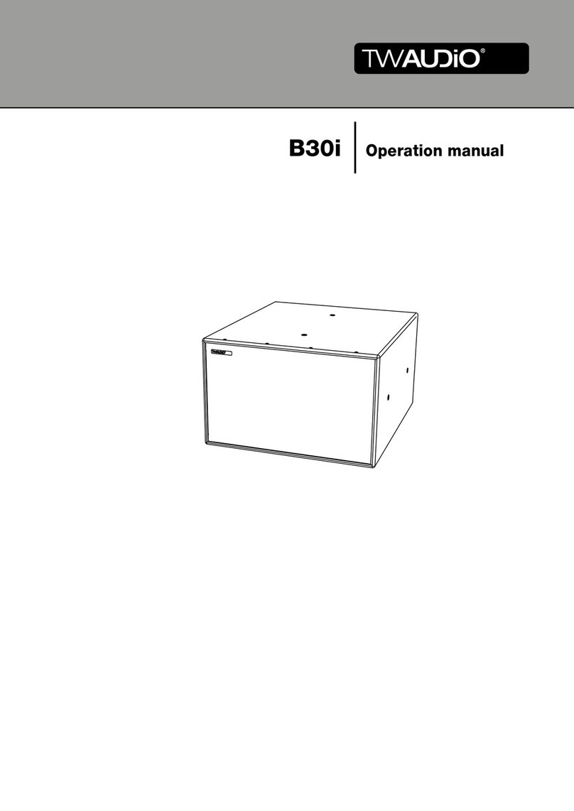 TW Audio B30i User manual