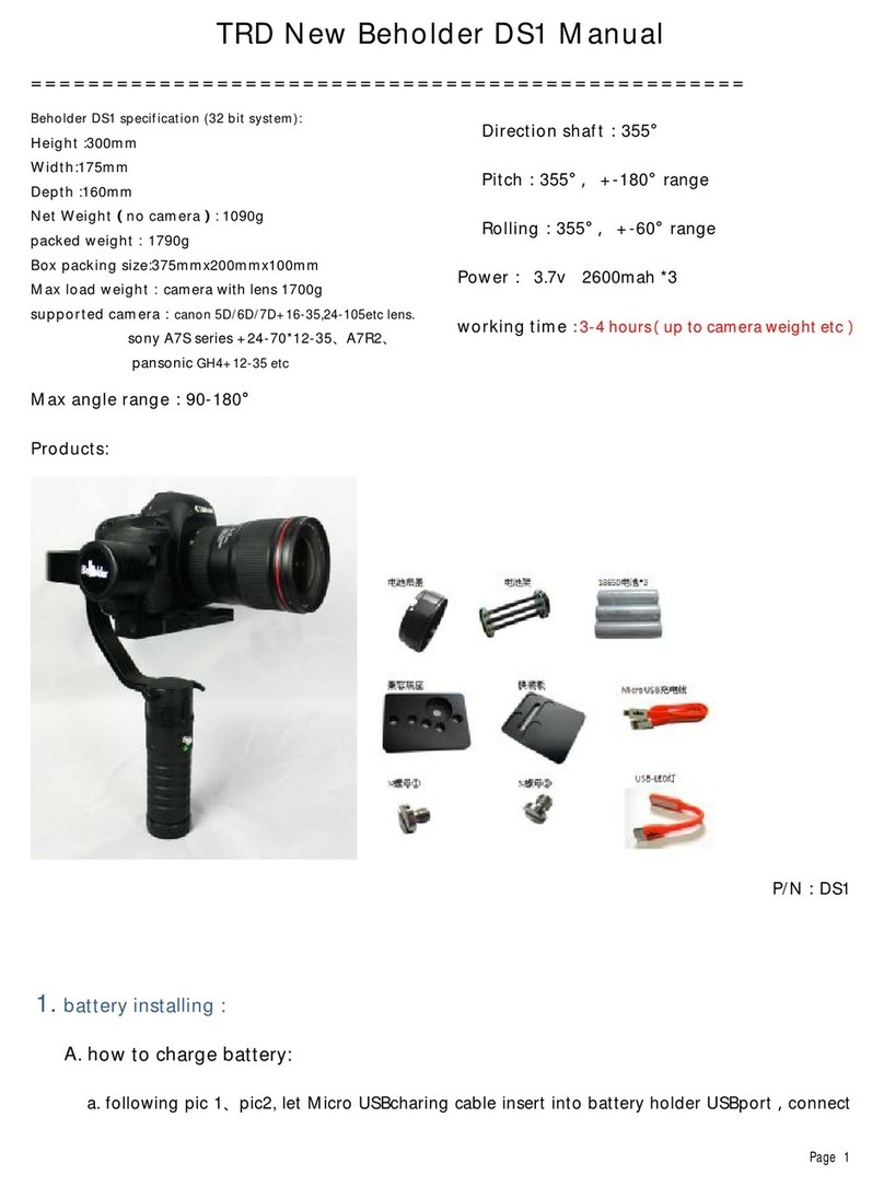 Beholder DS1 User manual