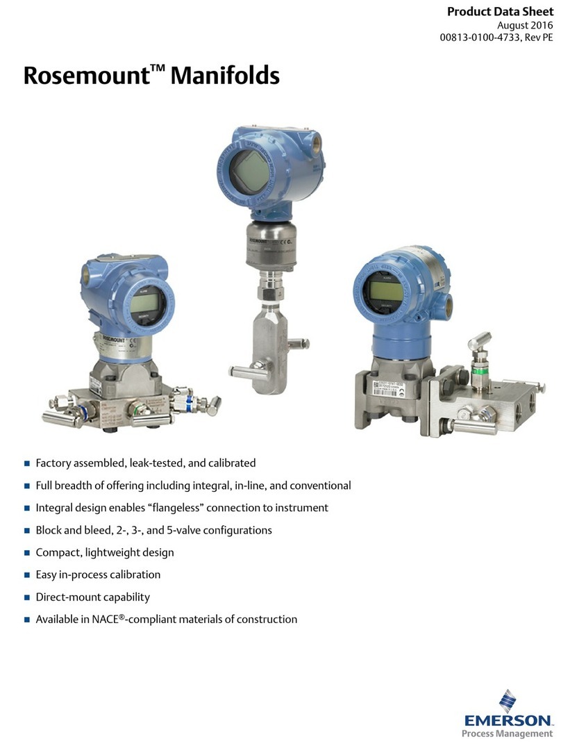 Emerson Rosemount 304 Operational manual