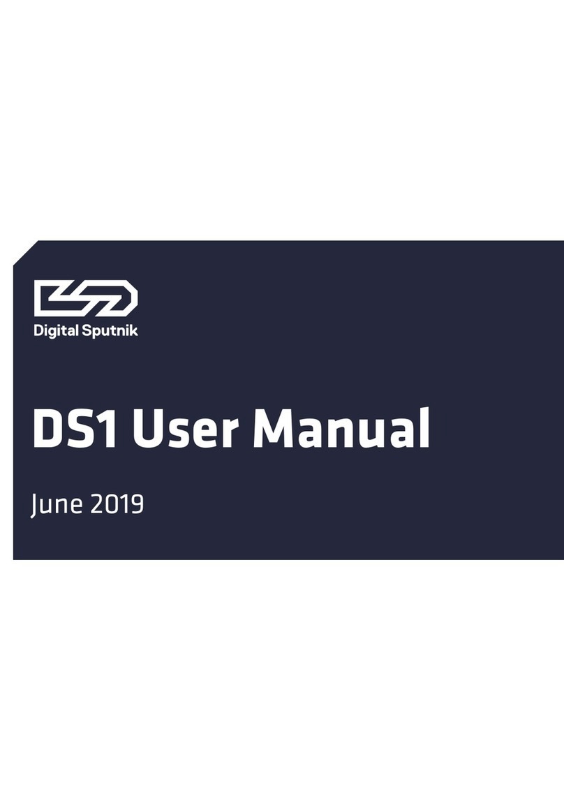 Digital Sputnik DS 1 User manual