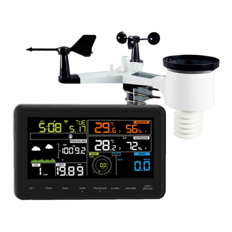 Froggit WH3000SE User manual