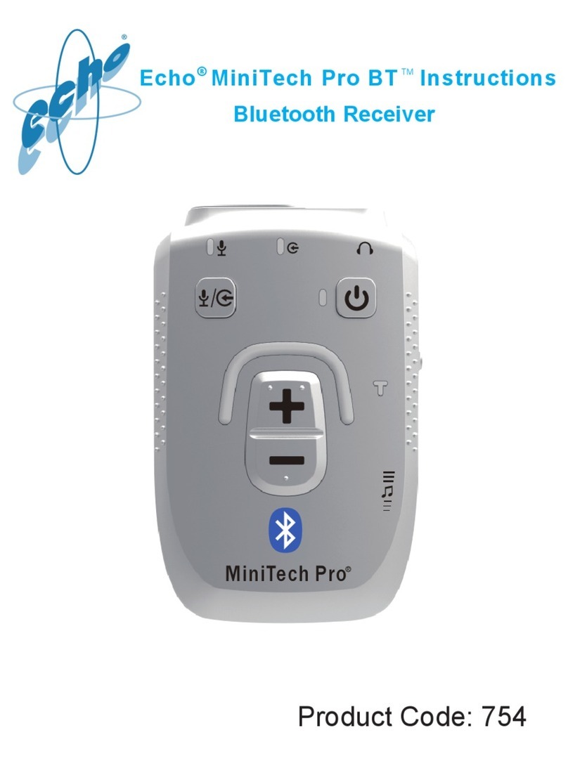 Echo MiniTech Pro BT instructions
