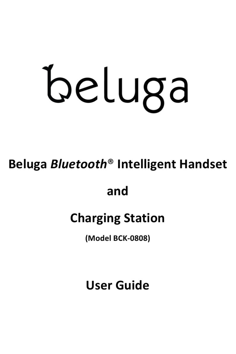 intertel Beluga BCK-0808 user guide